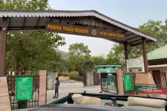 panna-tiger-reserve